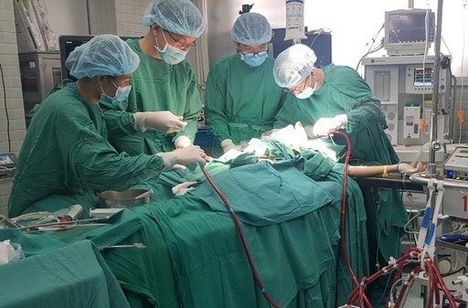 vietnam news today two vietnamese volunteered to donate lungs critical british covid 19 patient